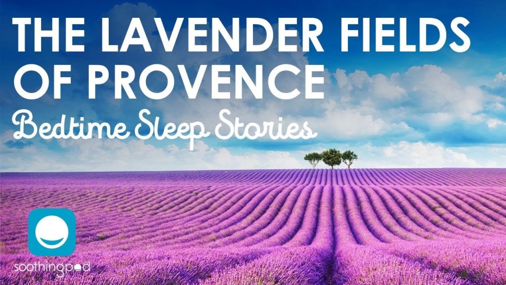 Picture of: Bedtime Sleep Stories  🌸 The Lavender Fields of Provence 💜 Blue Gold   Sleep Story for Grown Ups